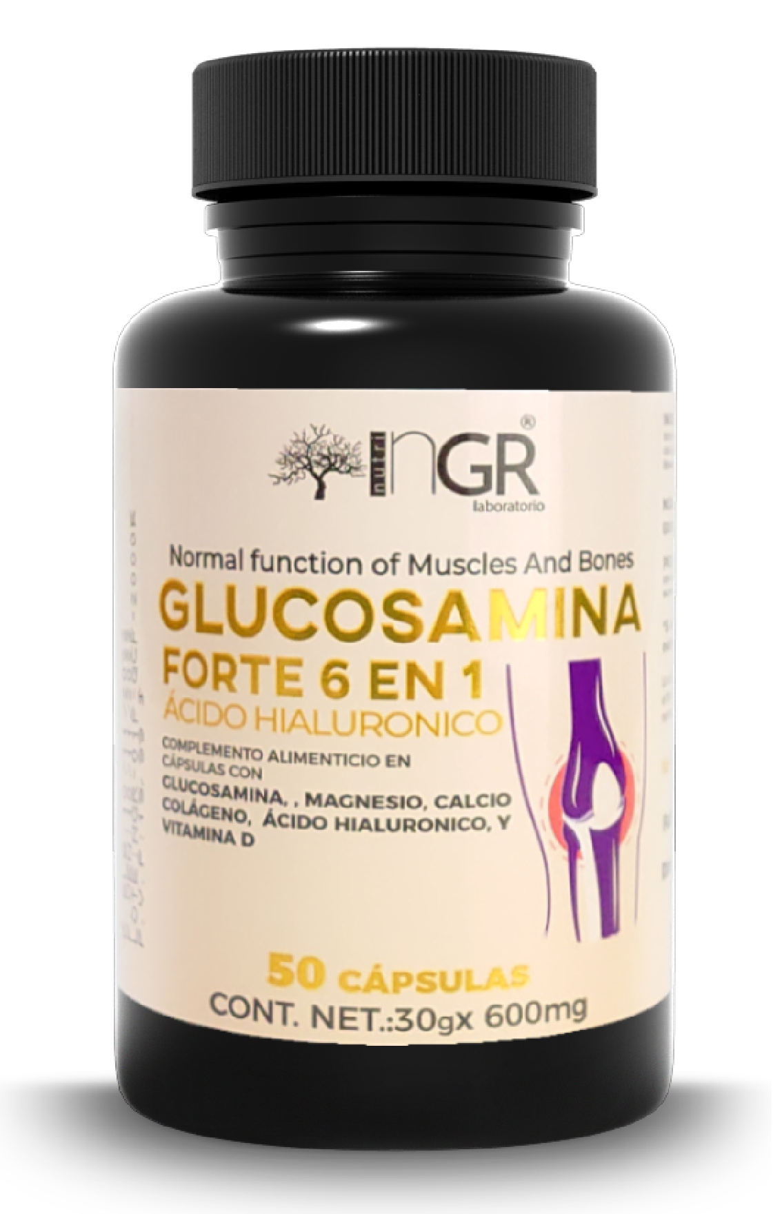 GLUCOSAMINA FORTE 6 EN 1